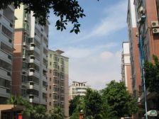 桂明楼 2室1厅 北