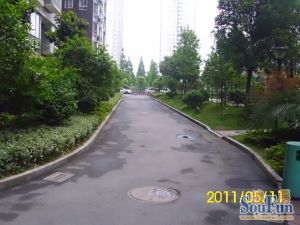 楚天馨苑 精装大3房 中间楼层 满五唯一