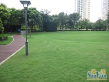 店总推荐 急售坐拥东方明珠 黄浦江豪景 全落地含车位