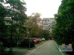 丽水金都3室1厅东南
