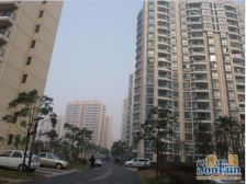 阳光城市家园 电梯高区两房 诚意出售