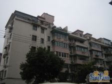 全明采光亮耶 商品房双南大两房 附21平双花园 急售!