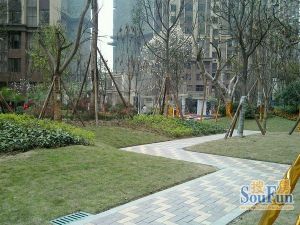 协信中心 3室2厅 东北