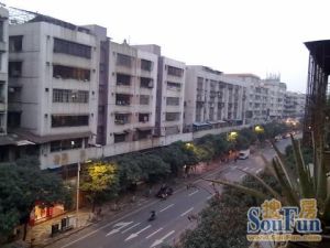 南桂西路大三房,楼层好,采光通风,南北对流