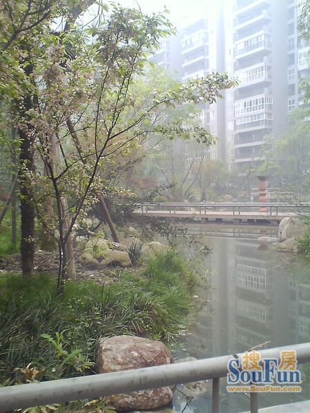 小区相关图