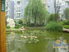陶然精舍3室1厅东北