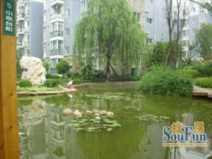 陶然精舍3室1厅东南