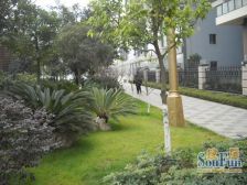 双华麓港 2室1厅 东南