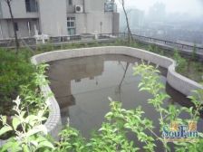 凯莱国际寓所2室1厅东