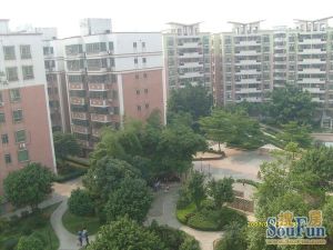 罗湖花园2室1厅西