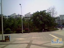 绿杨涧4室2厅东南