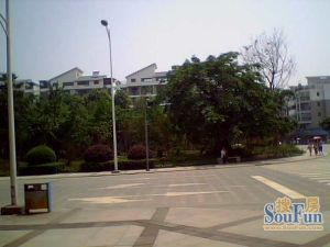 绿杨涧3室1厅南