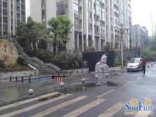汀兰雅苑2室1厅西南
