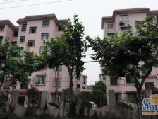 康乐小区边套全明,采光好,视野开阔,南北通,诚意卖