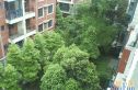爱琴海实景图