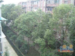 华逸花园新都苑3室1厅南