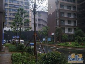 金福苑1室1厅南北