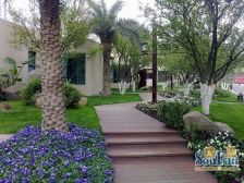 蓝光凯丽香江 2室1厅 南