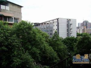 川大新南村2室1厅南北