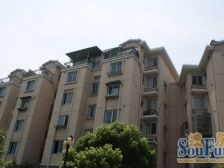 杨家桥小区(普陀) 2室1厅 东 南