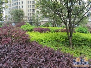 南郊公园旁宜居小区出行方便