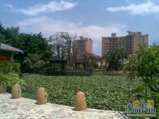 低楼层二房,户型好,。出进方便。不用等电梯。