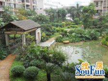 新一期 高层看 千灯湖,文化宫。景观好 复试