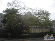 华南路低层小3房,出行方便配套成熟