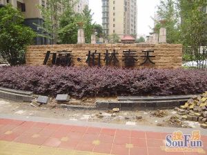 此房在小区里面,格局好,楼层好,视野宽阔,采光充足