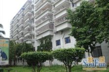 金晖新村 楼梯中楼层一梯两户,一南一北户型板状结构