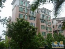 隐贤山庄旁边 丽都花园格局方正三房 税费少