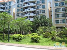 文华花园电梯3房 106方仅需80万