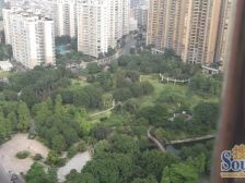 望江户型,视野开阔 ,采光充足