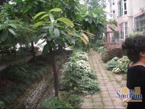 省气象局宿舍3室2厅东南