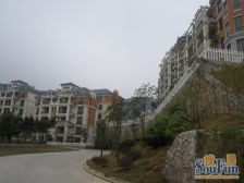 碧桂园三期洋房 南向两房 毛坯望花园