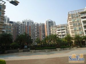 大良北区 本原 顺峰 业主急售 装修好 满五税费便宜