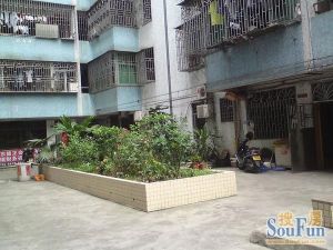 新华村中层3房户型方正实用采光好装修漂亮拎包入住