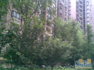 楚天馨苑3室2厅南