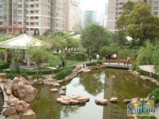 新上 入门级瑞虹系列产品,电梯高区楼层,大一房一厅