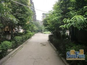 育苗路8号2室2厅南