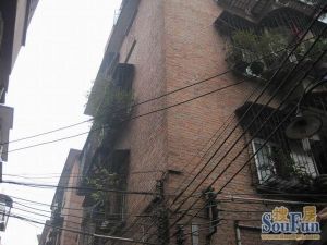 莲花路3室1厅东南