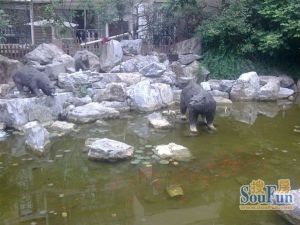 棠湖泊林小镇3室1厅东南