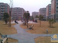 S新上大家园飞机三房两厅两卫,看房方便业主置换卖