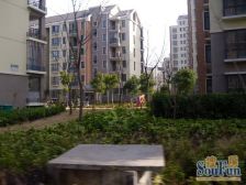 万达1KM,低总价,税费少,看房方便