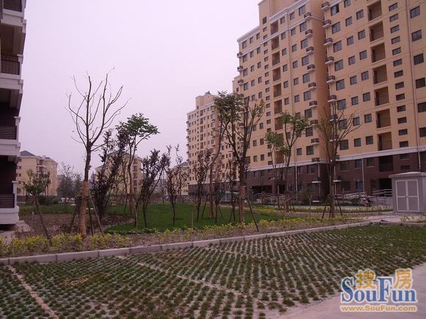 小区相关图