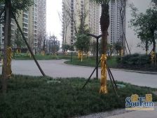 朝阳时代西锦 3室2厅 东南