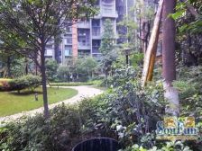 曦城3室2厅东南