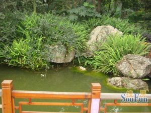西区花园水云阁3室2厅东南
