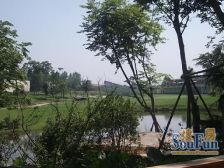 蓝光观岭威尼斯1室1厅北
