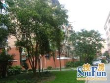 新上三楼 南北通 全明两房 位置好 临商超和地.铁 0税